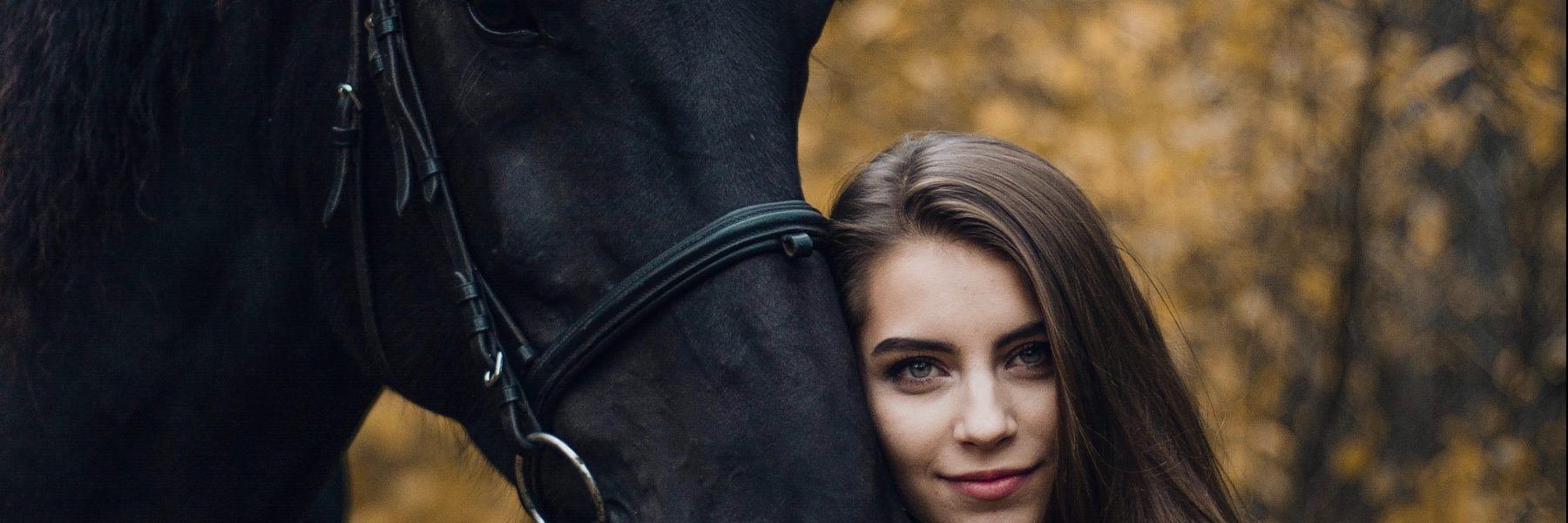 Horse And Love – Avis sur le Site de Rencontre Cheval & Équitation